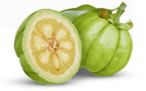 benefits of garcinia cambogia