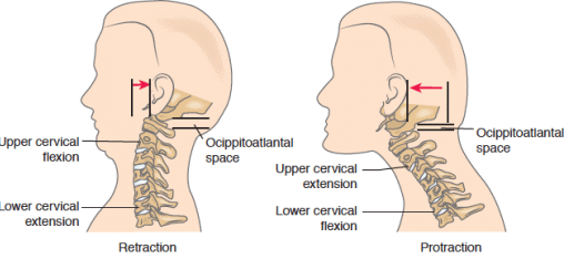 retraction and protraction