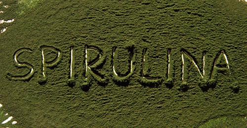 spirulina-powder-benefits-800x416