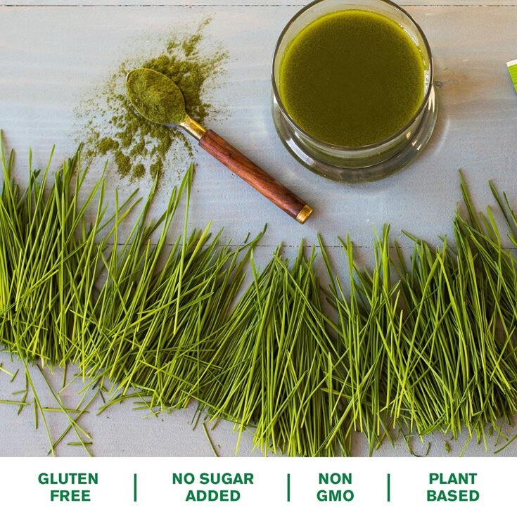 Wheatgrass vs Spirulina What's the Difference?