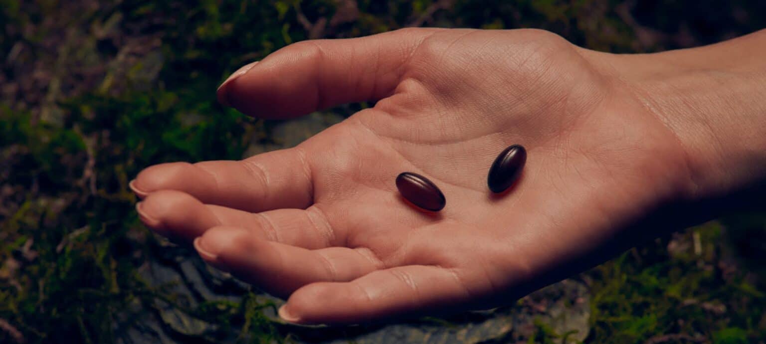 The Ultimate Onnit Hemp Force Review An Active Vegan Protein Power