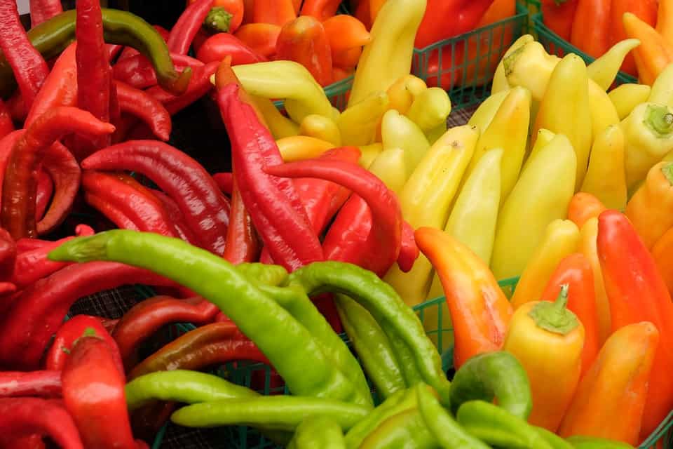 The Top 10 Veggies for Weight Loss