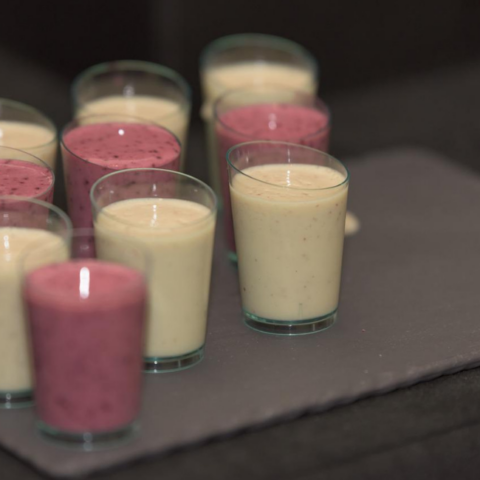 310 Shake vs Shakeology: Which One Is More Effective?