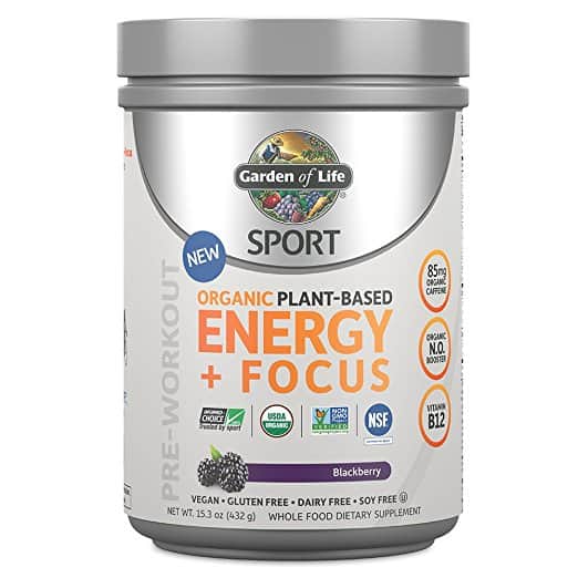 Garden of Life Energy and Focus Review That You’ll Love