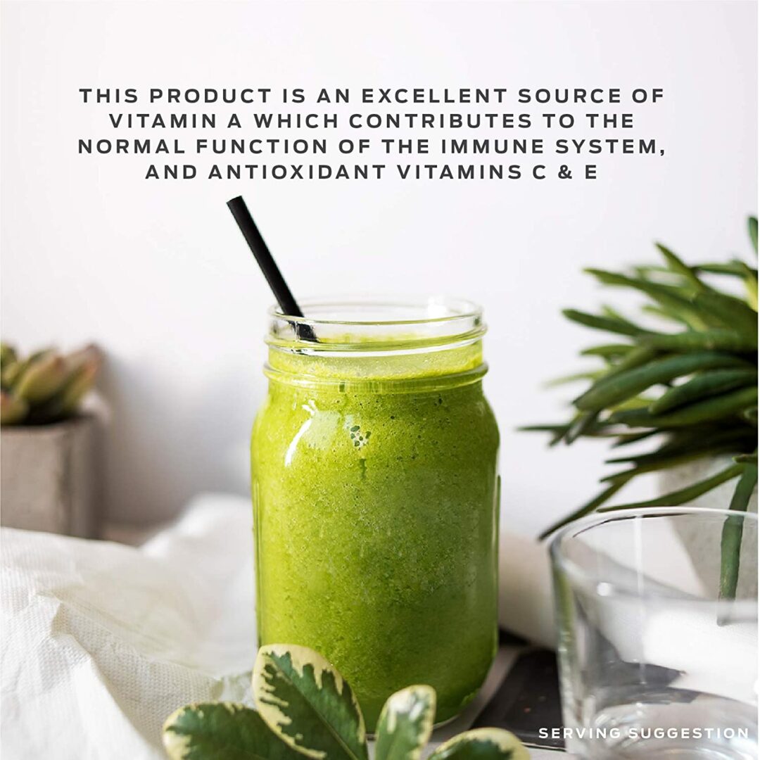 Orgain vs Vega One What's the Best Protein?