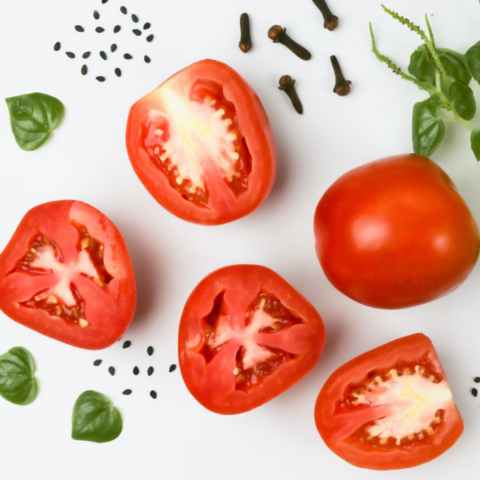 HMR Diet vs Medifast: Which One Should You Try?