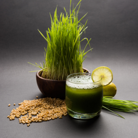 Wheatgrass vs Barley Grass Supergreens: What’s The Difference?