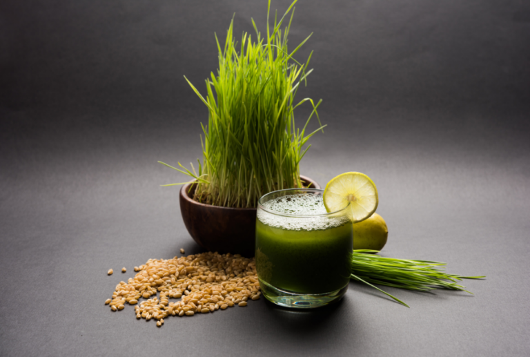 Wheatgrass vs Barley Grass Supergreens What's The Difference?