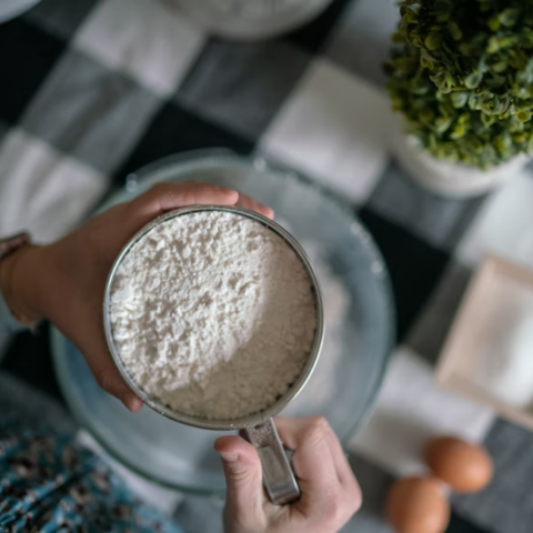 How to Find the Best Protein Powder: The Full Alt Protein Guide