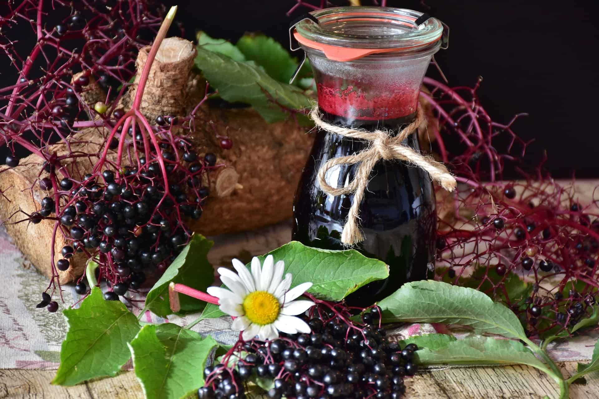 Organic Elderberry