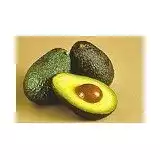 Fresh Avocadoes | Amazon