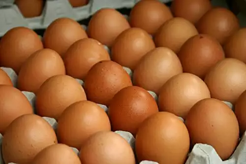 Fresh Chicken Eggs | Amazon