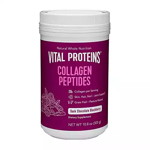 Vital Proteins Collagen Peptides Dark Chocolate and Blackberry