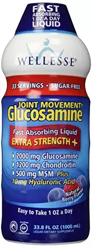 Wellesse Joint Movement Glucosamine With Chondroitin