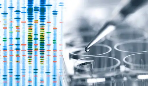 Best Biomarker Testing Services to Optimize Your Health