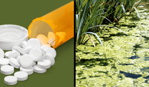 Best Alternatives to PPIs for Acid Reflux and Heartburn (Nurse-Reviewed)