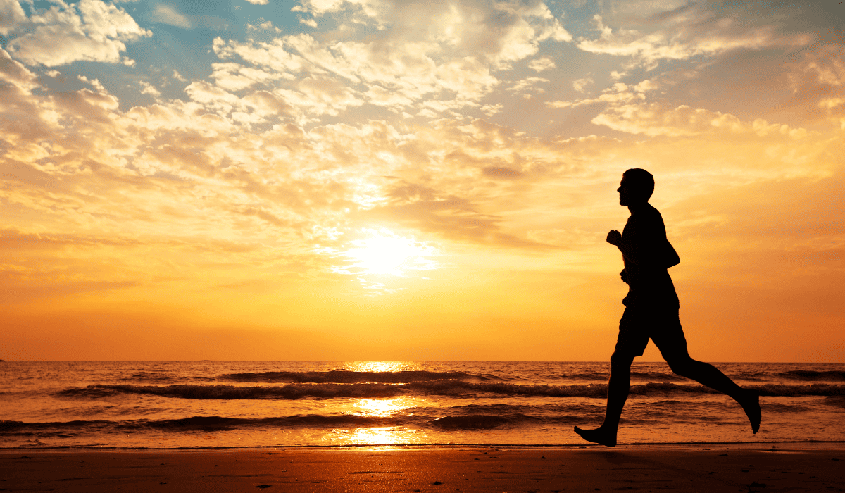 Marek Health alternatives