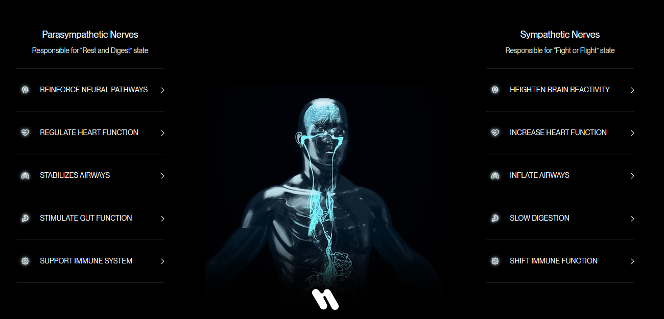 nuropod