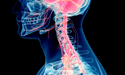 Best Vagus Nerve Stimulation Device for Anxiety
